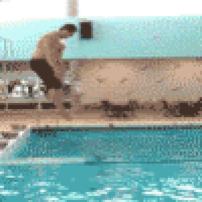 avatar0295.gif