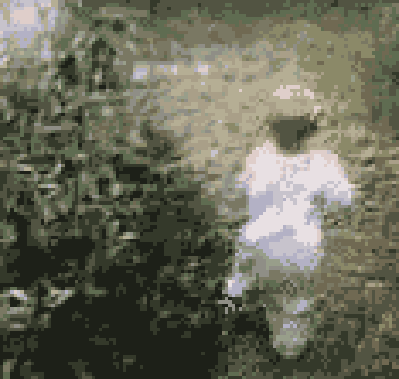 avatar0261.gif