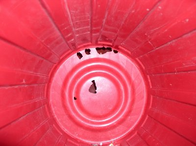 BBMG Vortex (5).JPG