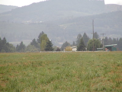 Telephoto view of a couple of the markers.  The yellow one blends in and is really hard to spot.  Can you find it?  The flag is 2 inches square. The red one on the left stands out.  It was marked with the arrow in the prior photo