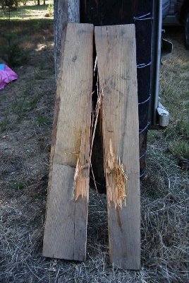 Here is a board hit with an apple from the ABS cannon.