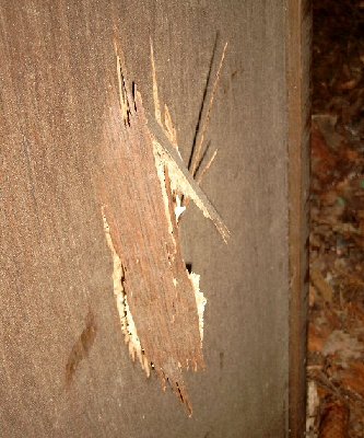 Backside of the second wooden plate. Damage mainly caused by the third shot