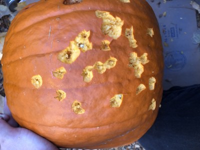 pumpkin exit.jpg