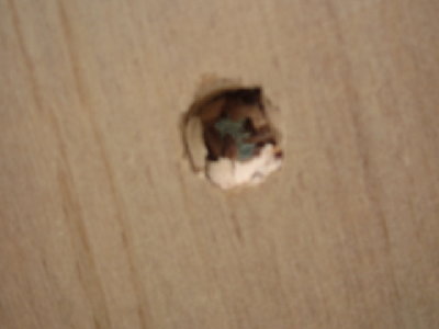 piece of wood 12mm thick. 50psi.shooting a marble.