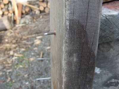 This pic shows the darts that have gone right through a solid plank of wood, about 30mm thick, the small ones allmost come right out the other side.