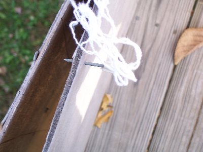 My dart.