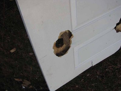 Door.jpg (68.06 KiB) Viewed 4198 times Door.jpg