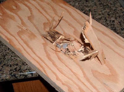 plywood exit hole.jpg (175.15 KiB) Viewed 5160 times The exit side. 3/4" spruce plywood. Shot at a range of 5 yards. 1/2 ounce fishing weight/hot glue ammo @ 400psi