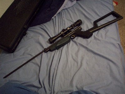 An overview of the rifle.